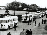 De hvite bussene