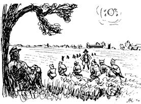 Sukker r&oslash;r