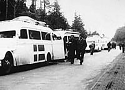 Hvite Busser