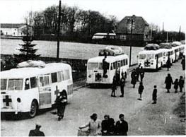 De hvite bussene De hvite bussene