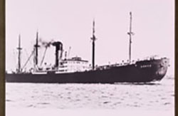 Donsu Donau