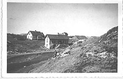 Telles hus