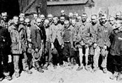 Buchenwald Buchenwald