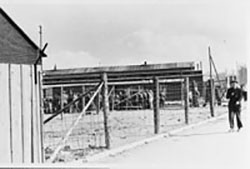 Buchenwald Buchenwald