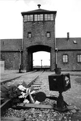 Birkenau